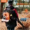 VEVOR 63CC Backpack Leaf Blower Gas Powered, 1.89L Tank, Delivers 1110CFM & 220MPH, Perfect for Garden Maintenance, Clearing Leaves & Snow(52CC Backpack)