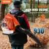 VEVOR 63CC Backpack Leaf Blower Gas Powered, 1.89L Tank, Delivers 1110CFM & 220MPH, Perfect for Garden Maintenance, Clearing Leaves & Snow(79CC Backpack)