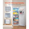 VEVOR Convertible Freezer/Refrigerator, 20.2 Cu.Ft Frost Free Upright Freezer with Temp Control Panel, Door Open too Long Alarm, Adjustable Shelves and LED, Standing Fridge for Kitchen, Office, Garage(11 Cu.Ft.)