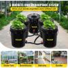 VEVOR DWC Hydroponic System, 5 Gallon 5 Buckets, Deep Water Culture Growing Bucket, Hydroponics Grow Kit with Pump, Air Stone and Connected Reservoir, for Indoor/Outdoor Leafy Vegetables(5 Buckets)