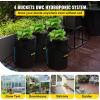 VEVOR DWC Hydroponic System, 5 Gallon 5 Buckets, Deep Water Culture Growing Bucket, Hydroponics Grow Kit with Pump, Air Stone and Connected Reservoir, for Indoor/Outdoor Leafy Vegetables(4 Buckets)
