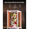 VEVOR Hydroponic Growing System with Grow Light, 30 Pods Vertical 6 Tiers Hydroponic Tower, Home Hydronic Garden with Water Pump, Plants Germination Kit for Indoor Herbs, Fruits and Vegetables(6 Tiers/30 Pods–With Grow Light)