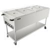 VEVOR 5-Pan Commercial Food Warmer, 5 x 20.6QT Electric Steam Table, 3750W Professional Buffet Catering Food Warmer with 4 Wheels (2 Lockable), Food Grade Stainless Steel Server for Party Restaurant(4 Well)