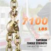 VEVOR G80 Transport Binder Chain, 5/16″ x 14.2′ Tow Chain with Clevis Grab Hooks, 4900 lbs Safe Working Load, Heavy Duty Trailer Logging Chain for Transporting Towing Truck Tie Down Binding Equipment(1 Pack)