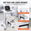 VEVOR Medical Trolley Storage Cart with Removable Drawer, Rolling Lab Tray Cart with Wheels for Ultrasound, Dental Clinic, Lab, Beauty Salon, Office(2 Tiers / Removable Drawer)