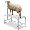 VEVOR Goat & Sheep Stand, 51×23 inch Livestock Stand, Metal Livestock Milking and Shearing Stand 21″ to 33″ Adjustable Height, with Headpiece and Nose Loop, 500lbs Loading Weight, Black(White 47×23″ Adjustable)