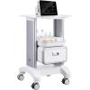 VEVOR Medical Trolley Storage Cart with Removable Drawer, Rolling Lab Tray Cart with Wheels for Ultrasound, Dental Clinic, Lab, Beauty Salon, Office(2 Tiers / Removable Drawer)