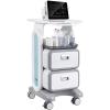 VEVOR Medical Trolley Storage Cart with Removable Drawer, Rolling Lab Tray Cart with Wheels for Ultrasound, Dental Clinic, Lab, Beauty Salon, Office(3 Tiers / 2 Drawers)