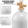 VEVOR CO2 Tank, 10 lbs New Aluminum Alloy Cylinder, CO2 Air Tank with Light Spray Coating, CGA320 Valve, Handle & Adjustable Pressure, DOT Approved Cylinder for Draft Beer Dispensing(5 lbs)
