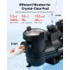 VEVOR Variable Speed Pool Pump, 1.5 HP, AC 220-240V, 132 GPM, in/Above Swimming Pool Pump with Filter Basket, Powerful Self Priming, Programmable Timer, for Inground and Above Ground Swimming Pool(1.5 HP)