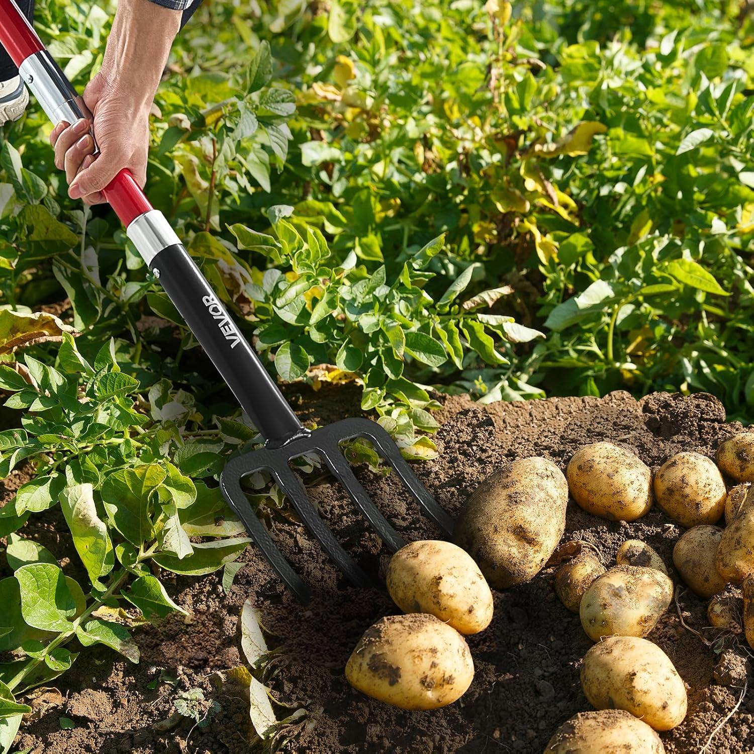 image:imageVEVOR Broad Fork 5Tine Pitchfork with Dual Fiberglass Handles Heavy Duty Garden Fork Ergonomic UShaped Design Broadfork Hand Tiller Gardening Tool for Composting Transplanting Aeration4Tine