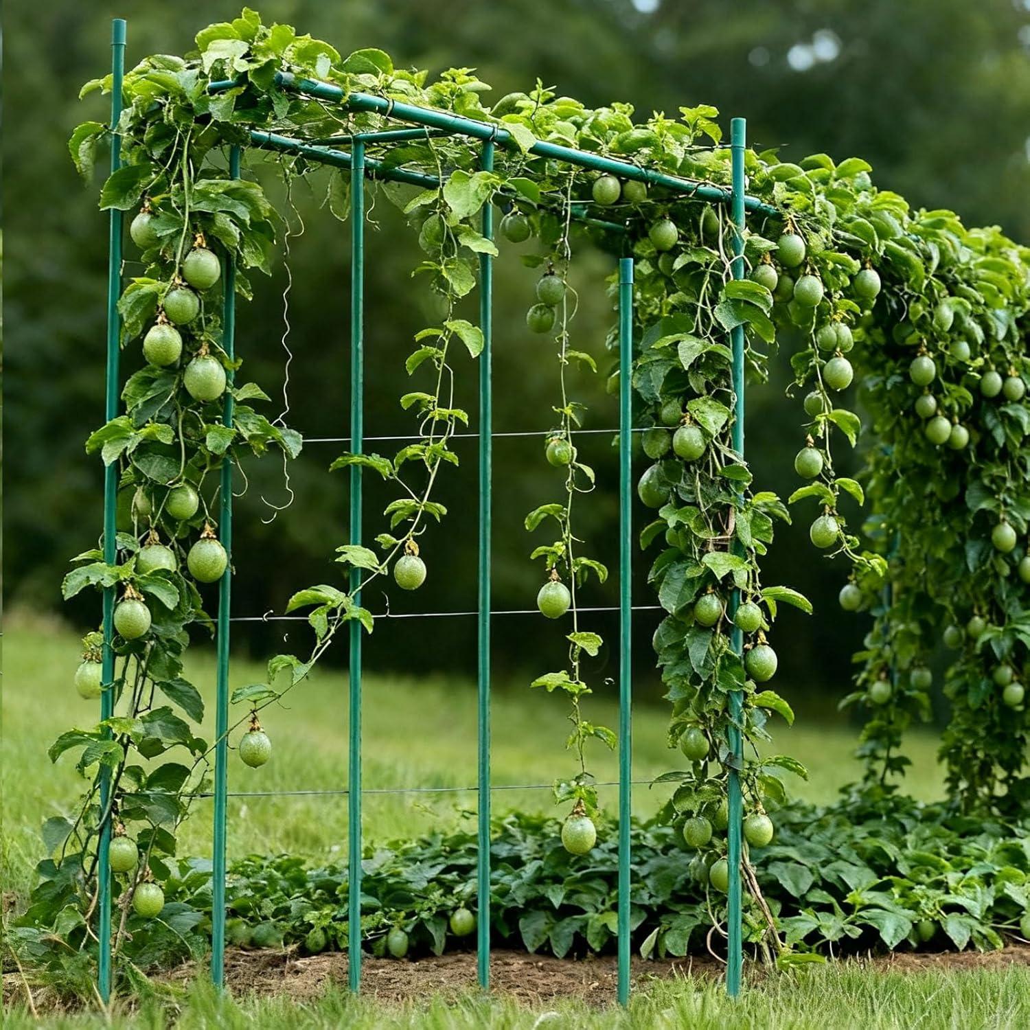 image:imageVEVOR Garden Stakes 25 Pack 8268 inch Plastic Coated Metal Tomato Stakes Garden Sticks for Plants Support with Pointed End and NonSlip Bumps for Growing Climbing Plants Outdoor Vegetables21m11mm