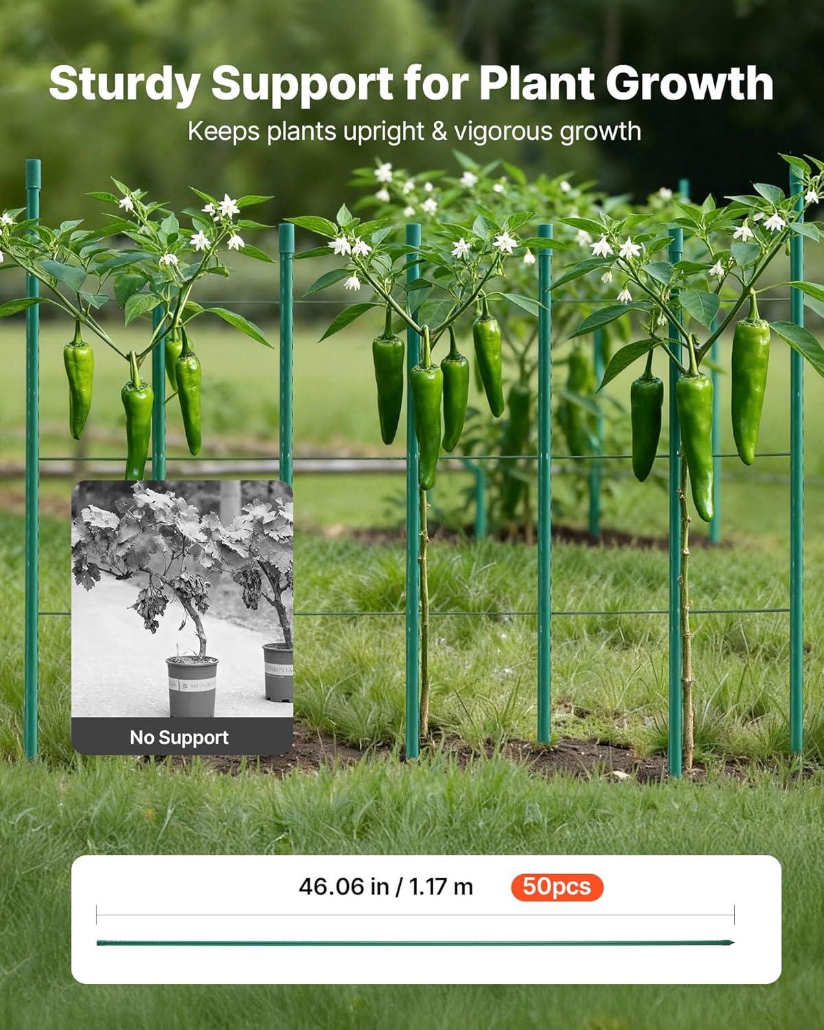 image:imageVEVOR Garden Stakes 25 Pack 8268 inch Plastic Coated Metal Tomato Stakes Garden Sticks for Plants Support with Pointed End and NonSlip Bumps for Growing Climbing Plants Outdoor Vegetables12m11mm