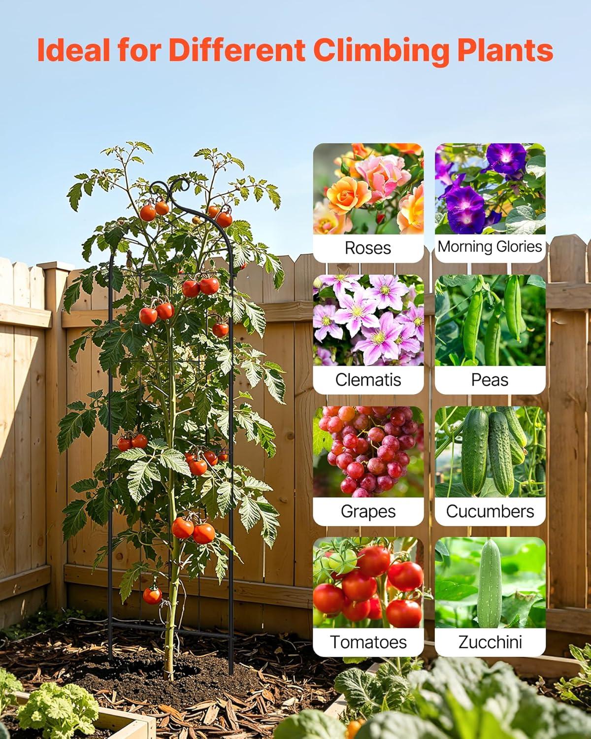 image:imageVEVOR Garden Trellis 71 x 20 inch Rose Trellis 4 Packs Garden Flower Rose Trellises with PowderCoated Finish amp Convenient Locking Design Plant Support Trellises for Flowers Vegetables Roses4 PacksStyle2