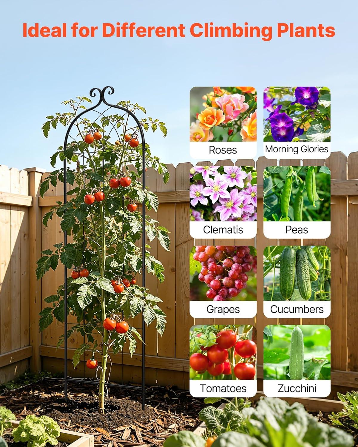image:imageVEVOR Garden Trellis 71 x 20 inch Rose Trellis 4 Packs Garden Flower Rose Trellises with PowderCoated Finish amp Convenient Locking Design Plant Support Trellises for Flowers Vegetables Roses4 PacksStyle2