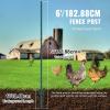 VEVOR 5 Feet Fence Post, 10 Pack U-Channel Heavy Duty Metal Fence Posts with 30 Zip Ties & 20 Clips, Sturdy Steel Fence Stakes for Garden Yard, Lawn, Farms and Outdoor Wire Fencing, Green(6 Feet 6 Pack)