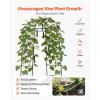 VEVOR Cucumber Trellis, 83 inch Tall Garden Arch Trellis, U-Shape Garden Trellises for Raised Bed, Metal Arch Outdoor Climbing Plants Support for Vine, Peas, Beans, Zucchini, Tomato, Squash, Flowers(Arch Trellis)