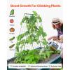 VEVOR Cucumber Trellis for Climbing Plants,46″ H x 32″ W Foldable Cucumber Trellis Set with Plant Clips, Metal Garden Trellis for Raised Bed, Outdoor Plant Grow Support for Tomato, Vegetable(2 Pack)(46″ W x 32″ L)