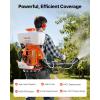 VEVOR Gas Powered Backpack Sprayer, 26.5CC 0.9HP Engine, Garden Sprayer with 6.5 Gallon Tank, Large Area Coverage, Lawn Spraying Machine with 24 in Wand & Nozzles for Efficient Gardening & Farming(4 Gal Fogger Sprayer)