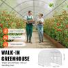 VEVOR Walk-in Greenhouse, 78″ x 39.4″ x 78.7″ Greenhouse for Outdoors with Window, PE Cover, 3-Tier Shelf, Roll-Up Zipper Doors, Walk in Green House Kit, Portable Plant Garden Hot House for Backyard(White)