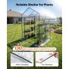 VEVOR Walk-in Greenhouse, 78″ x 39.4″ x 78.7″ Greenhouse for Outdoors with Window, PE Cover, 3-Tier Shelf, Roll-Up Zipper Doors, Walk in Green House Kit, Portable Plant Garden Hot House for Backyard(Clear)