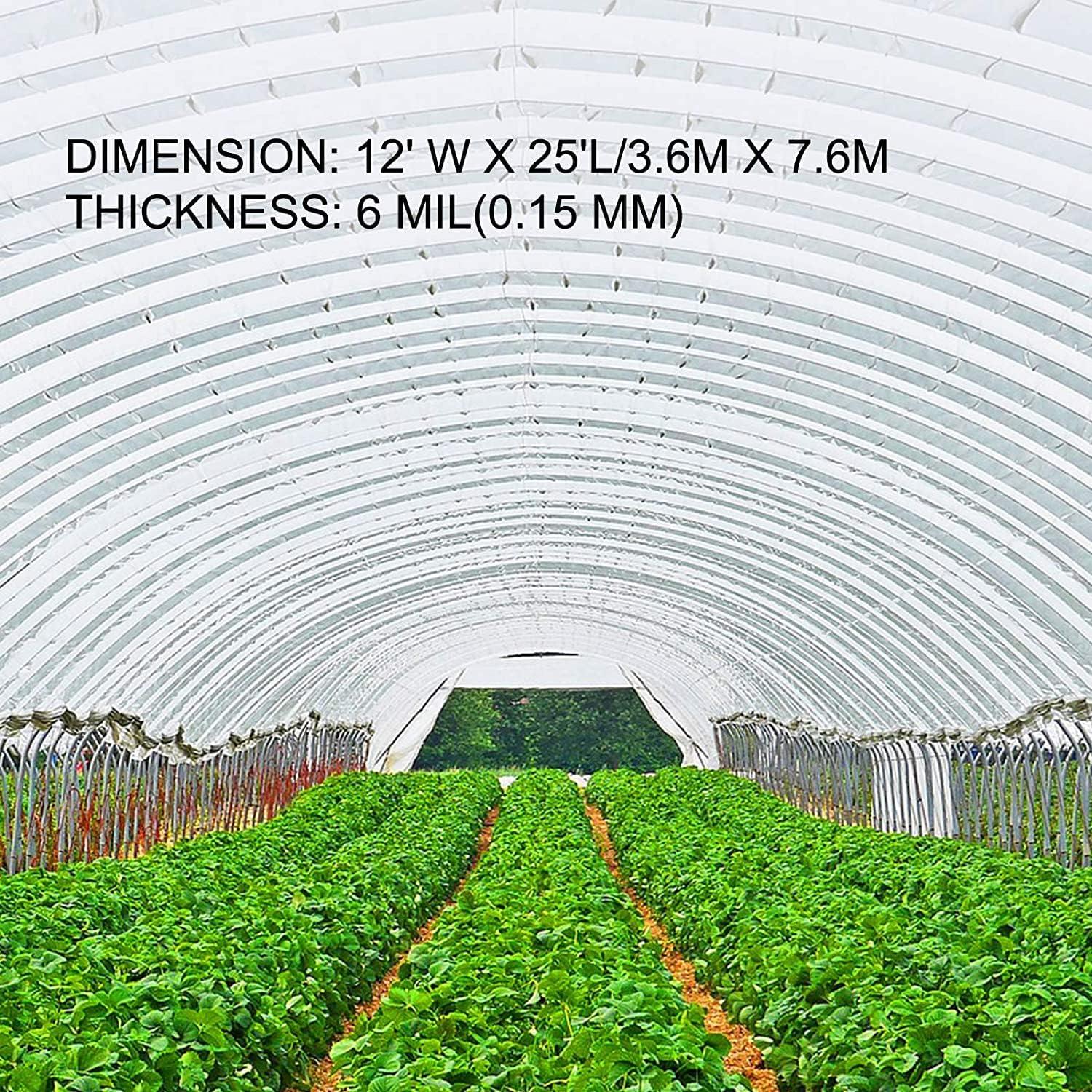 image:imageVEVOR Greenhouse Plastic Sheeting 8 x 25 ft 6 Mil Thickness UV Resistant Clear Polyethylene Film Hoop Green House Cover for Farms Agriculture Garden16 x 25 ft