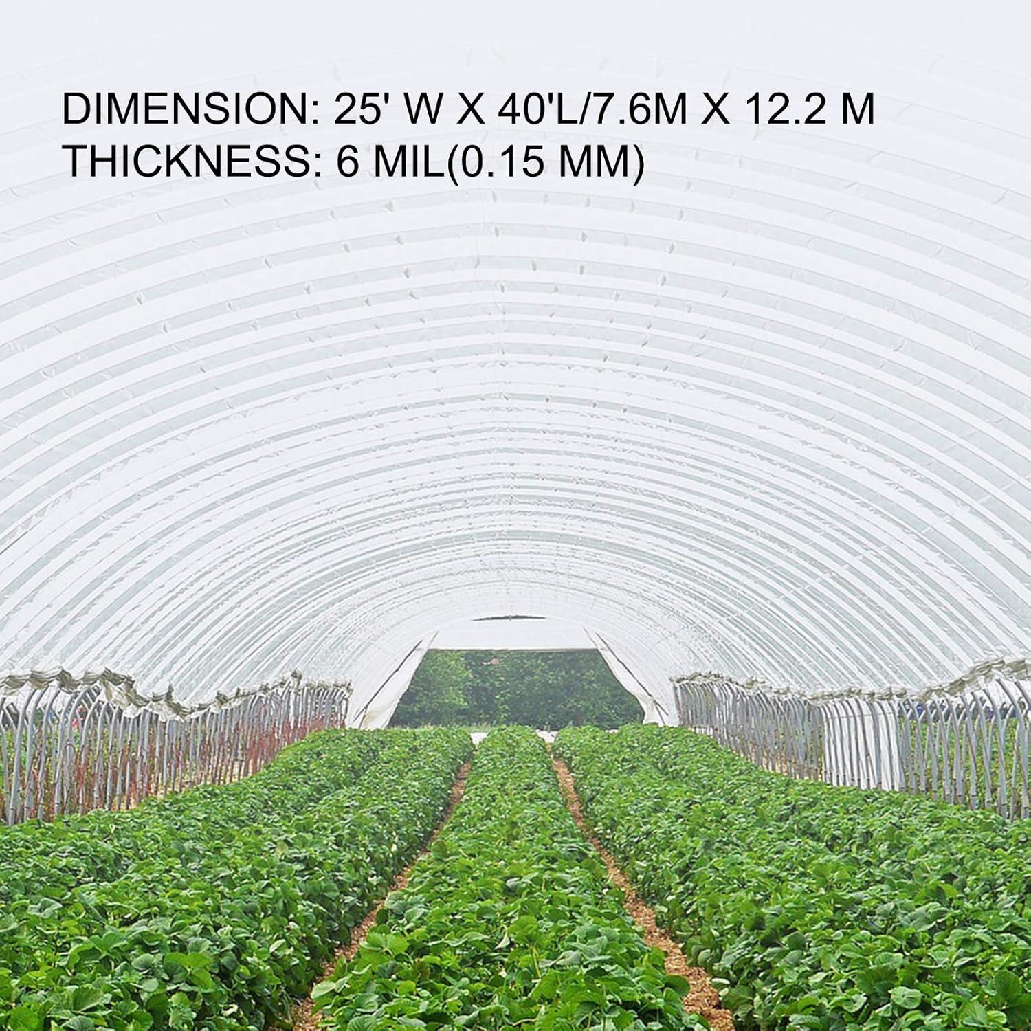 image:imageVEVOR Greenhouse Plastic Sheeting 8 x 25 ft 6 Mil Thickness UV Resistant Clear Polyethylene Film Hoop Green House Cover for Farms Agriculture Garden25 x 40 ft