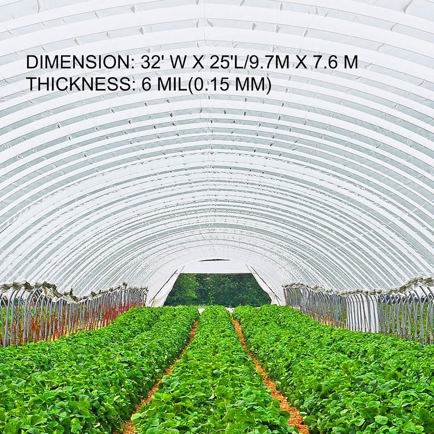 image:imageVEVOR Greenhouse Plastic Sheeting 8 x 25 ft 6 Mil Thickness UV Resistant Clear Polyethylene Film Hoop Green House Cover for Farms Agriculture Garden32 x 25 ft