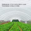 VEVOR Greenhouse Plastic Sheeting 8 x 25 ft, 6 Mil Thickness UV Resistant Clear Polyethylene Film, Hoop Green House Cover for Farms, Agriculture, Garden(15 x 40 ft)