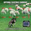 VEVOR Electric Fence Netting, 42″H x 164’L, PE Net Fencing with Posts and Double-Spiked Stakes, Utility Portable Mesh for Goats, Sheep, Lambs, Deer, Hogs, Dogs, for Farms, Backyards and Ranches(42″h X 164’l)