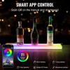 VEVOR LED Lighted Liquor Bottle Display, 3 Tiers 20 Inches Whiskey Rack, Supports USB, Illuminated Home Bar Shelf with RF Remote & App Control, 9 Static Colors, Acrylic Lighted Shelf for 15 Bottles(1 Step 24 Inches)