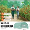 VEVOR Walk-in Tunnel Greenhouse, 29.2×9.7×6.5 ft Hoop House Greenhouse Tunnel, Plant Hot House with Galvanized Steel Frame, Green PE Cover, Roll-up Zipper Door and 12 Windows for Outdoor(Green)