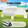 VEVOR Walk-in Tunnel Greenhouse, 29.2×9.7×6.5 ft Hoop House Greenhouse Tunnel, Plant Hot House with Galvanized Steel Frame, Green PE Cover, Roll-up Zipper Door and 12 Windows for Outdoor(White)